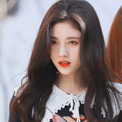 穿越我变成了乌龟